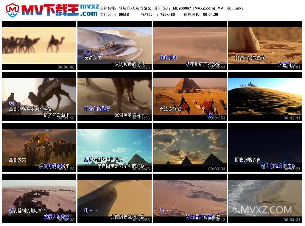 曾层高-天边的骆驼_国语_流行_ME900867